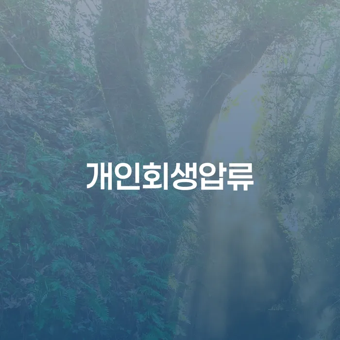 20년 대출 연체 시 개인회생 제도 여기서 확인!