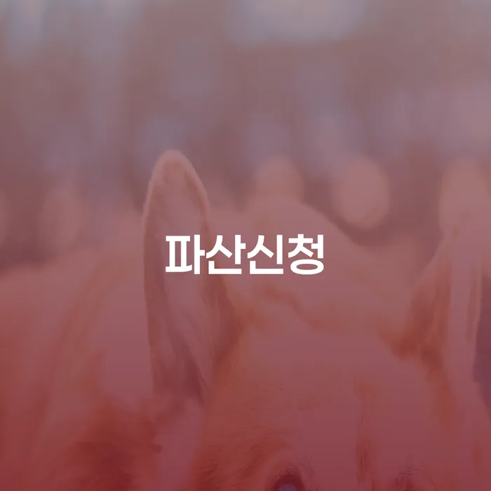 개인회생일시변제 개인회생으로 해결방법 진행할 때 꼭 알아야 할