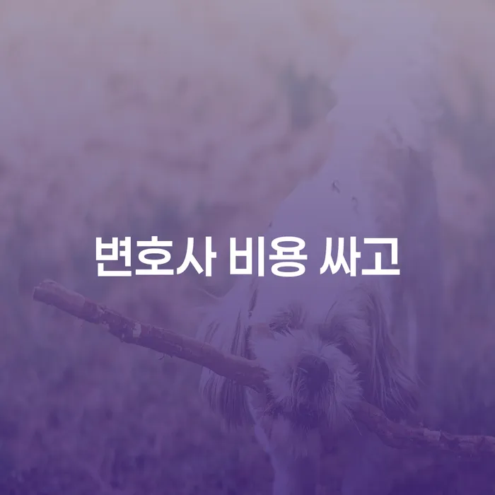 대출 연체 시 개인회생 상세히알기
