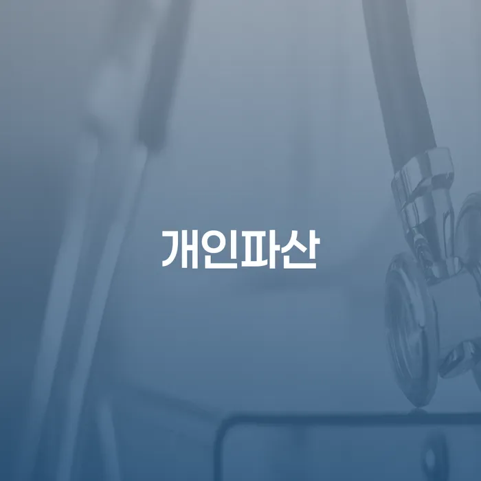 다중채무자 연체 시 대출 받은 돈채무조정 법률사무소추천