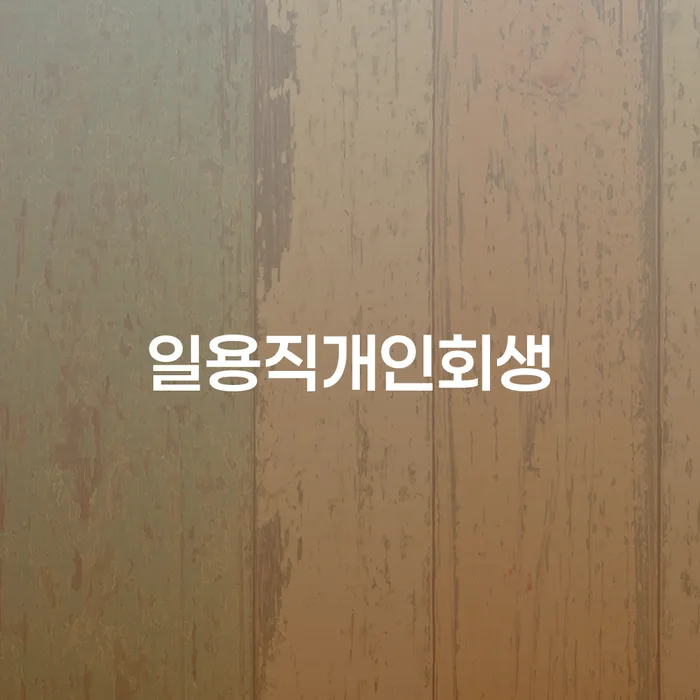 개인파산변호사 대출 받은 돈채무조정 도움이 되는