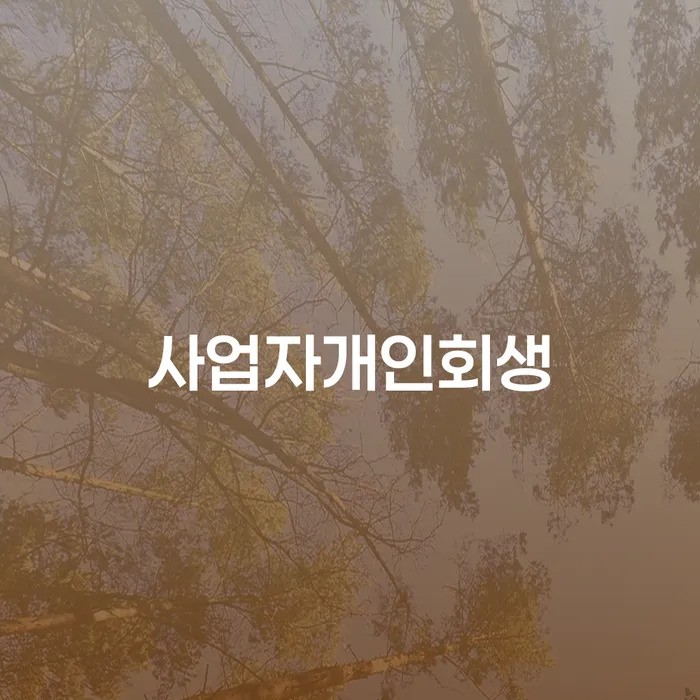 회생파산 채무 효과적인 해결방법 잘하는 사무소