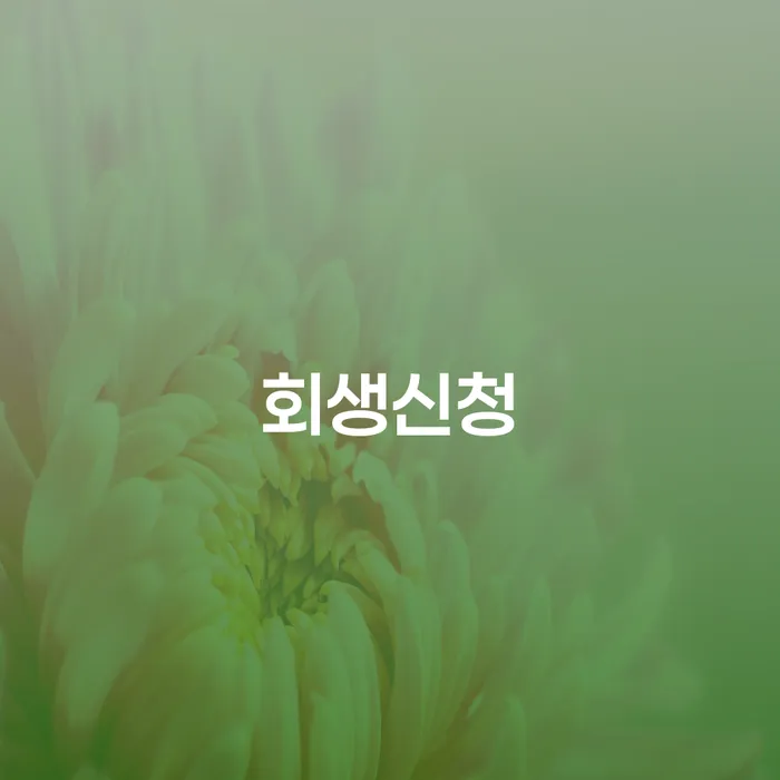 개인회생개인파산 대출 받은 돈채무조정 성공하려면