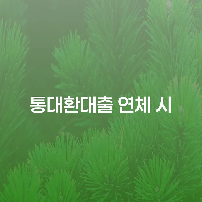 송파구 개인파산제도 개인회생 처리방법 정해지는