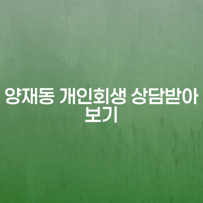 양재동 개인회생 상담받아보기