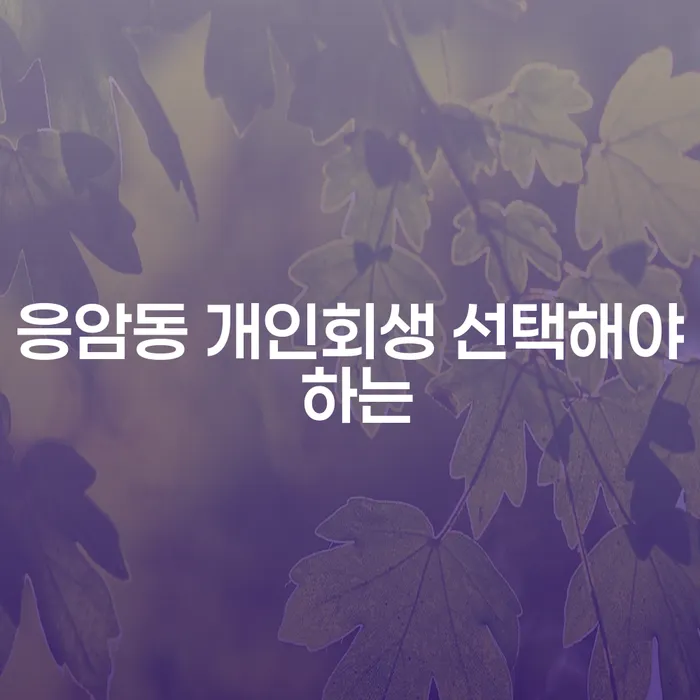 응암동 개인회생 선택해야 하는
