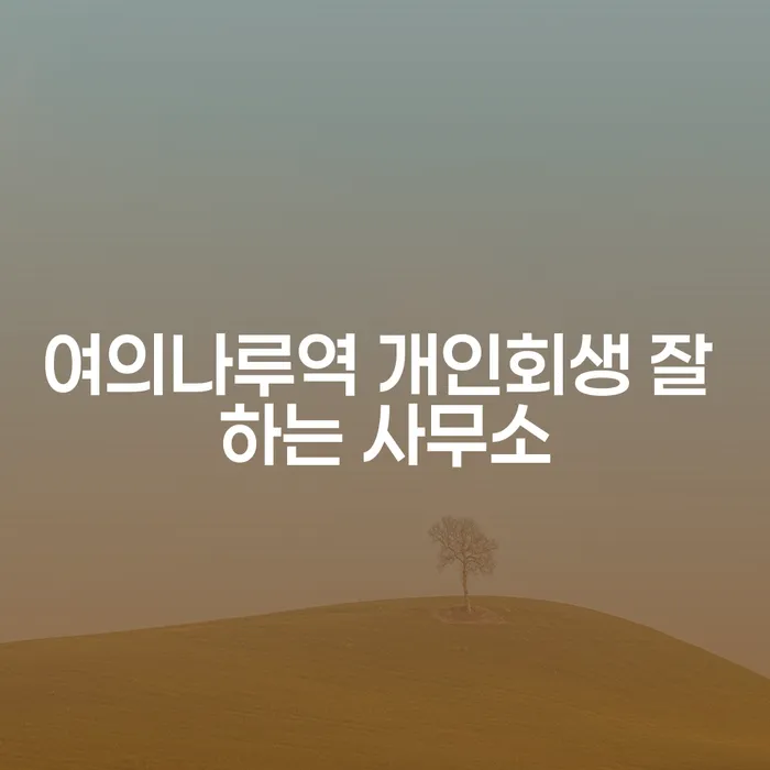 여의나루역 개인회생 잘 하는 사무소