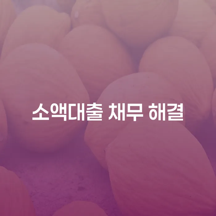 소액대출 채무 해결: 어떻게 시작해야 할까요?