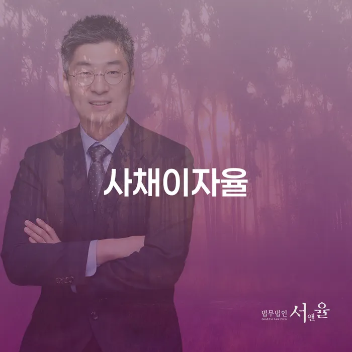 사채이자율 문제를 어떻게 해결할 수 있을까요?