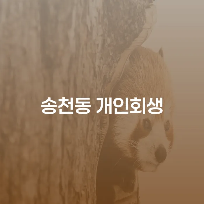 송천동 개인회생, 어떻게 시작해야 할까요?