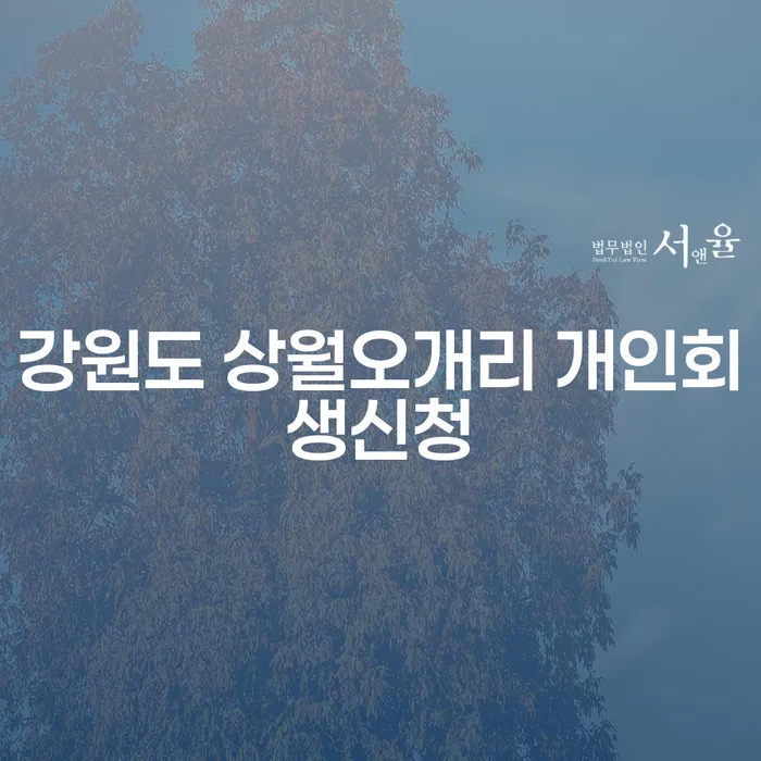 강원도 상월오개리 개인회생신청, 어떻게 시작해야 할까요?