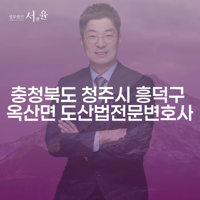 충청북도 청주시 흥덕구 옥산면 도산법전문변호사와 함께 채무 문제 해결하는 방법은?
