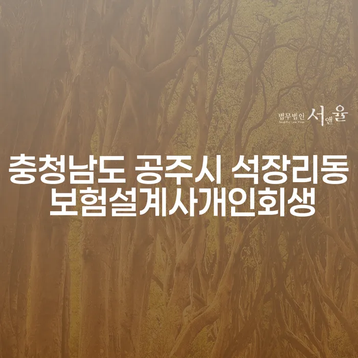 충청남도 공주시 석장리동 보험설계사, 개인회생이 필요할 때 어떻게 해야 할까요?