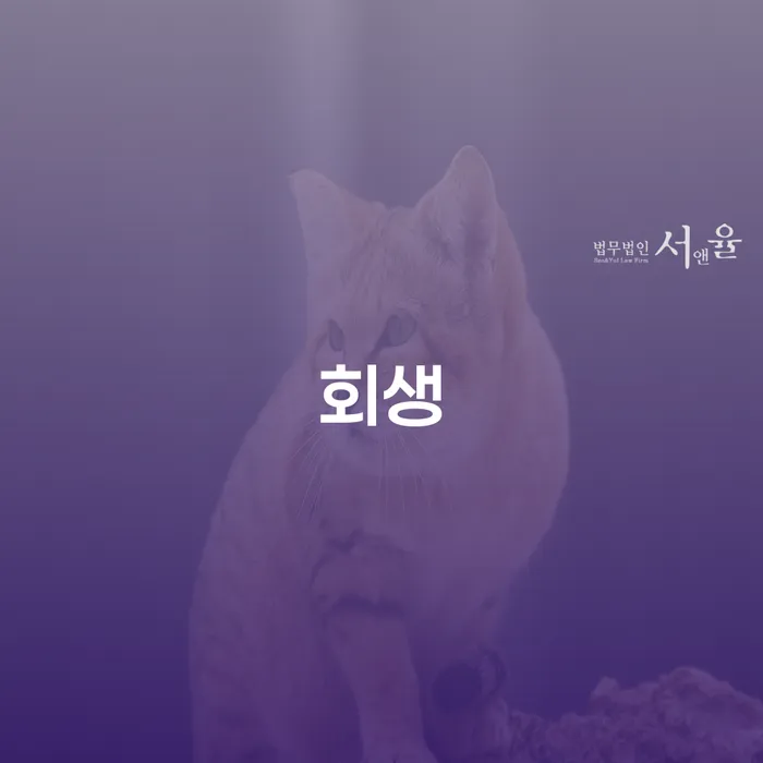 개인회생과 파산후신용회복, 채무탈출의 지름길은 무엇일까요?