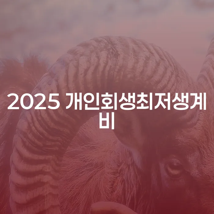 2025년 개인회생 최저생계비, 어떻게 계산되고 도움이 될까요?